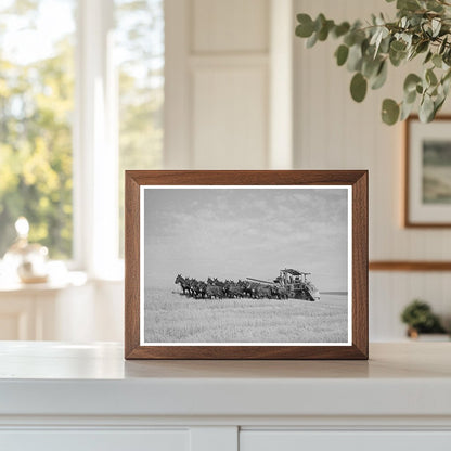 Twenty-Mule Team Working in Walla Walla County 1941