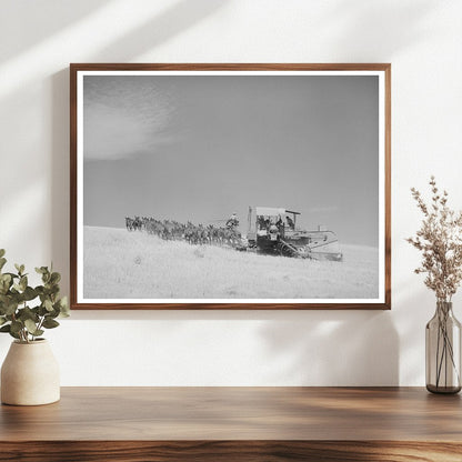 Mules-Drawn Combine in Walla Walla County 1941