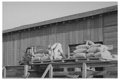 Vintage Truck with Sacked Wheat in Touchet 1941