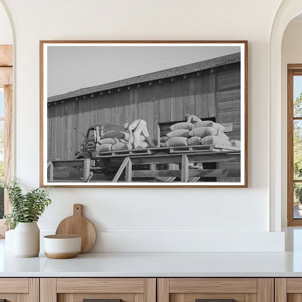 Vintage Truck with Sacked Wheat in Touchet 1941