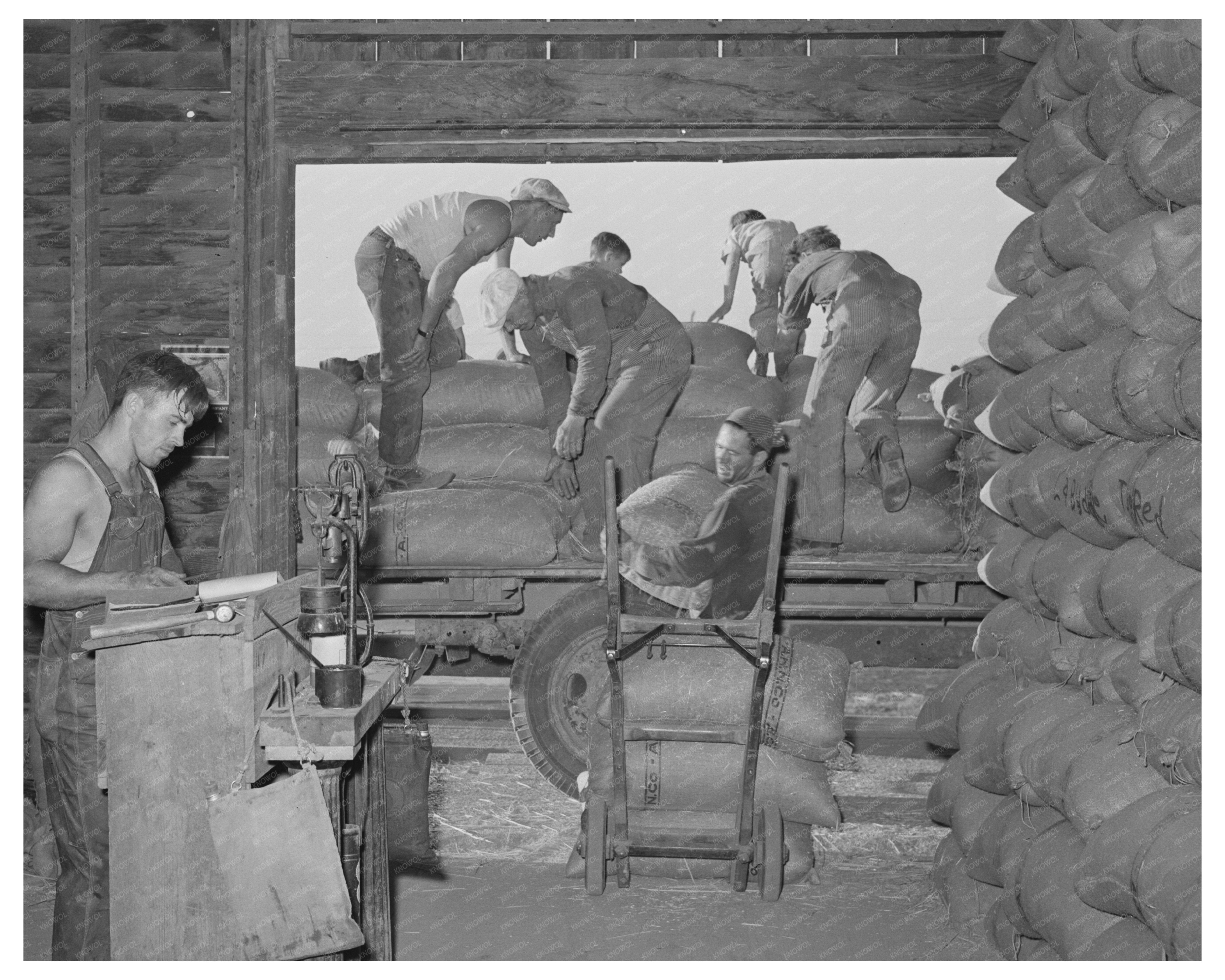 Wheat Delivery to Warehouse in Touchet July 1941