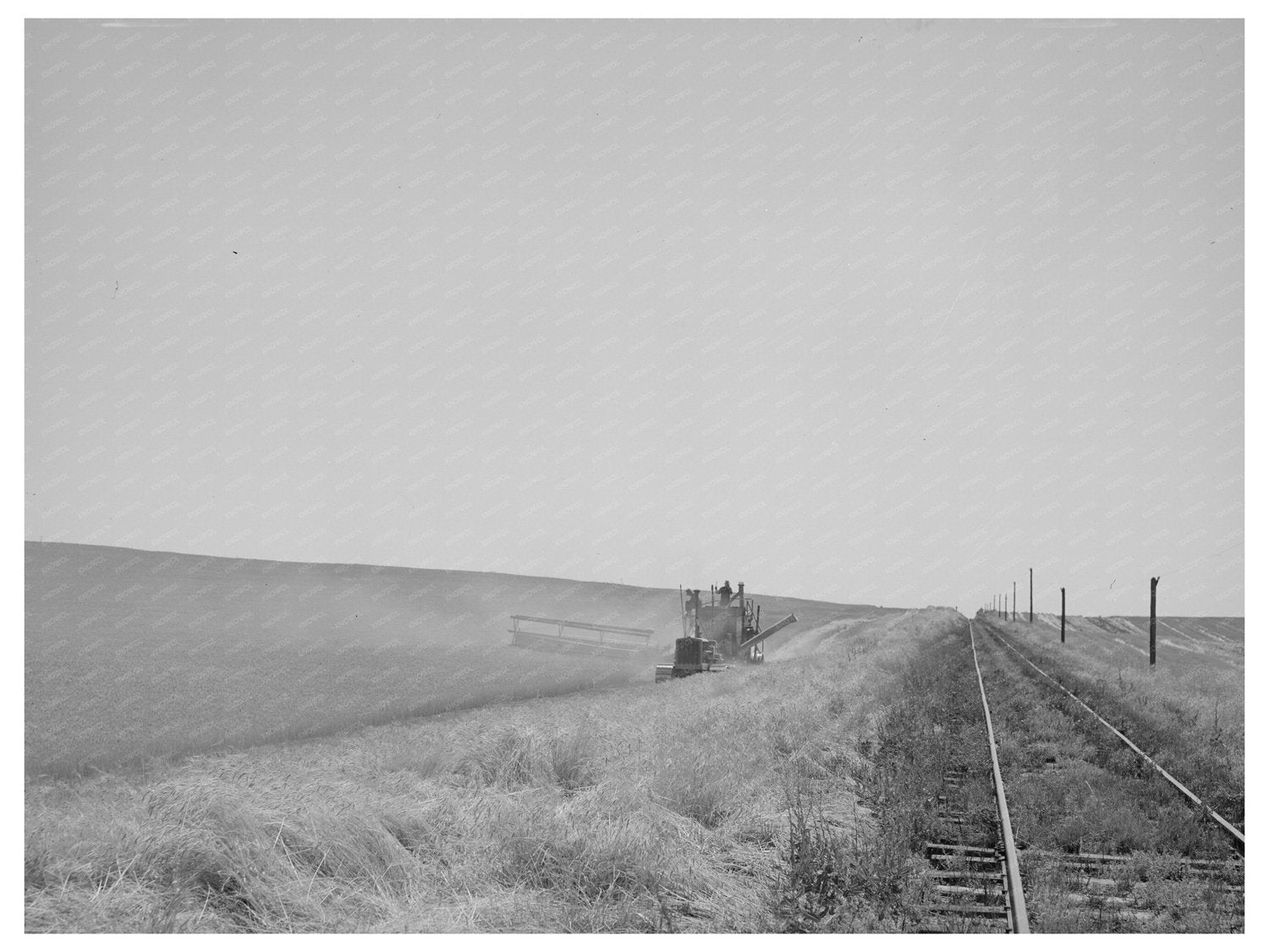 1941 Combine Harvesting Wheat in Walla Walla County