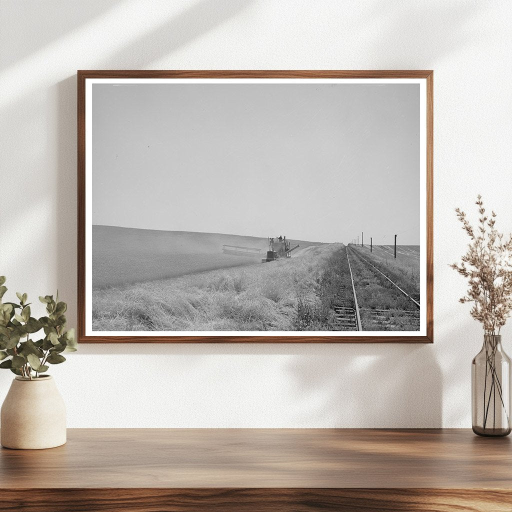 1941 Combine Harvesting Wheat in Walla Walla County