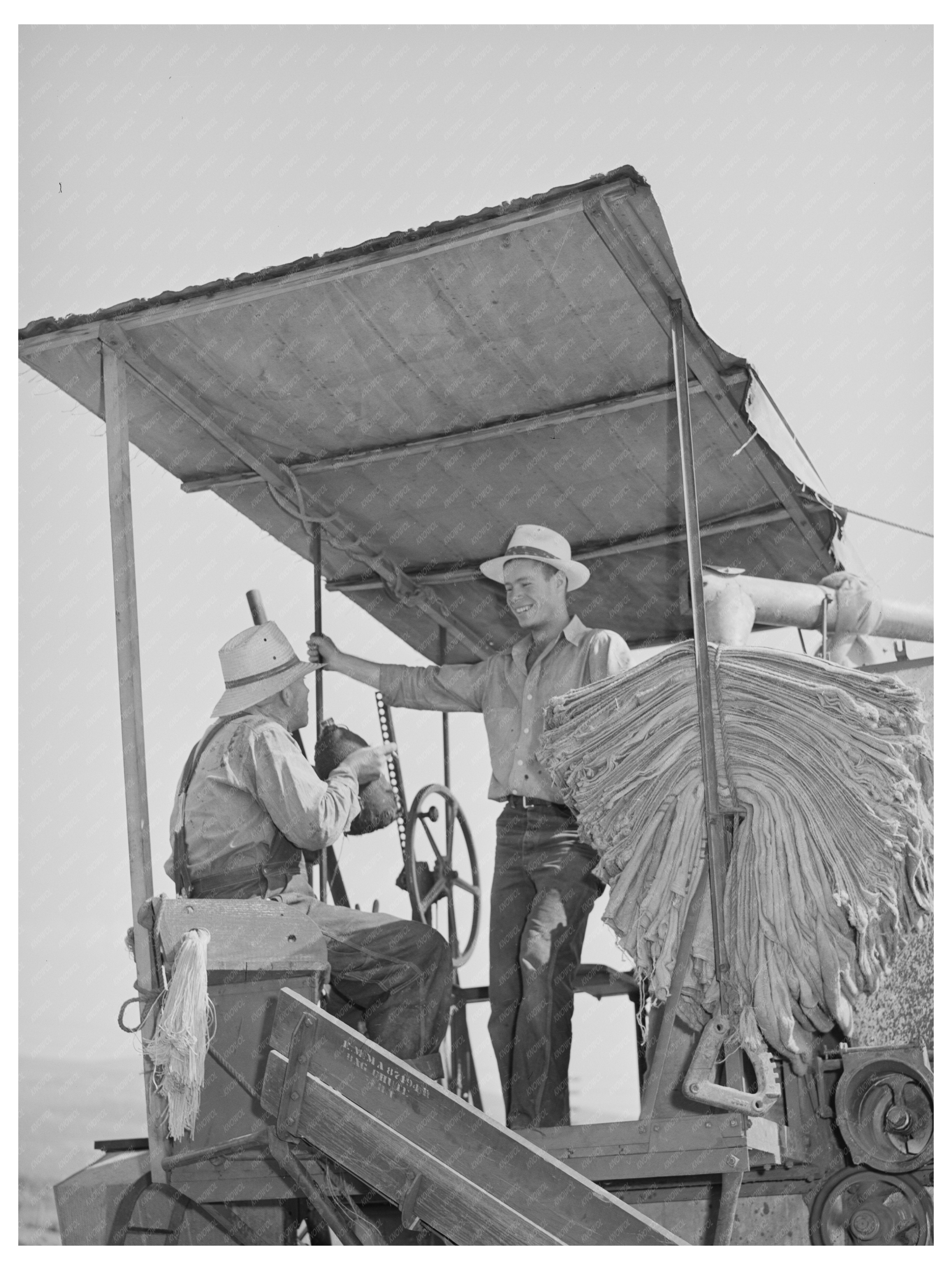 Wheat Harvesting in Whitman County Washington 1941