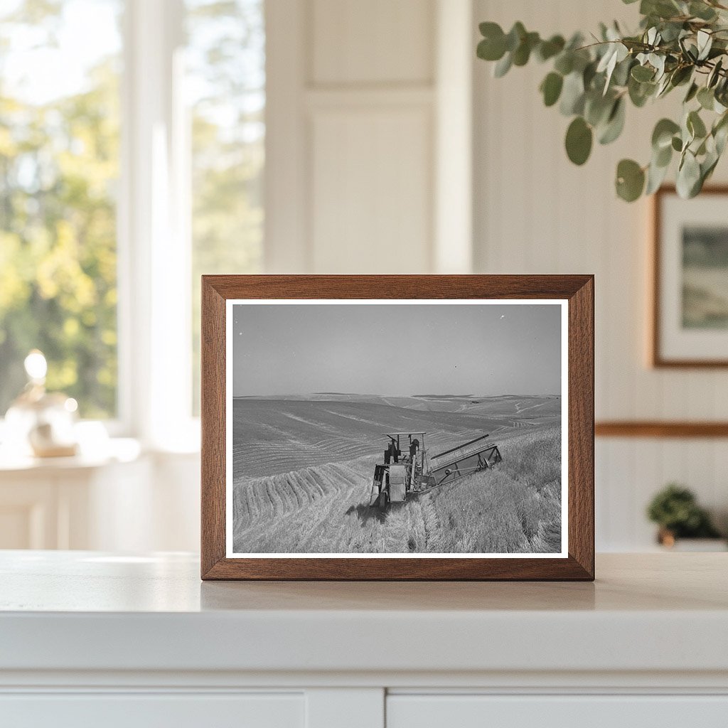 Combine Harvester in Whitman County Washington July 1941
