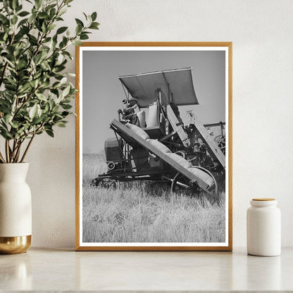 Sacked Wheat Combine in Whitman County July 1941