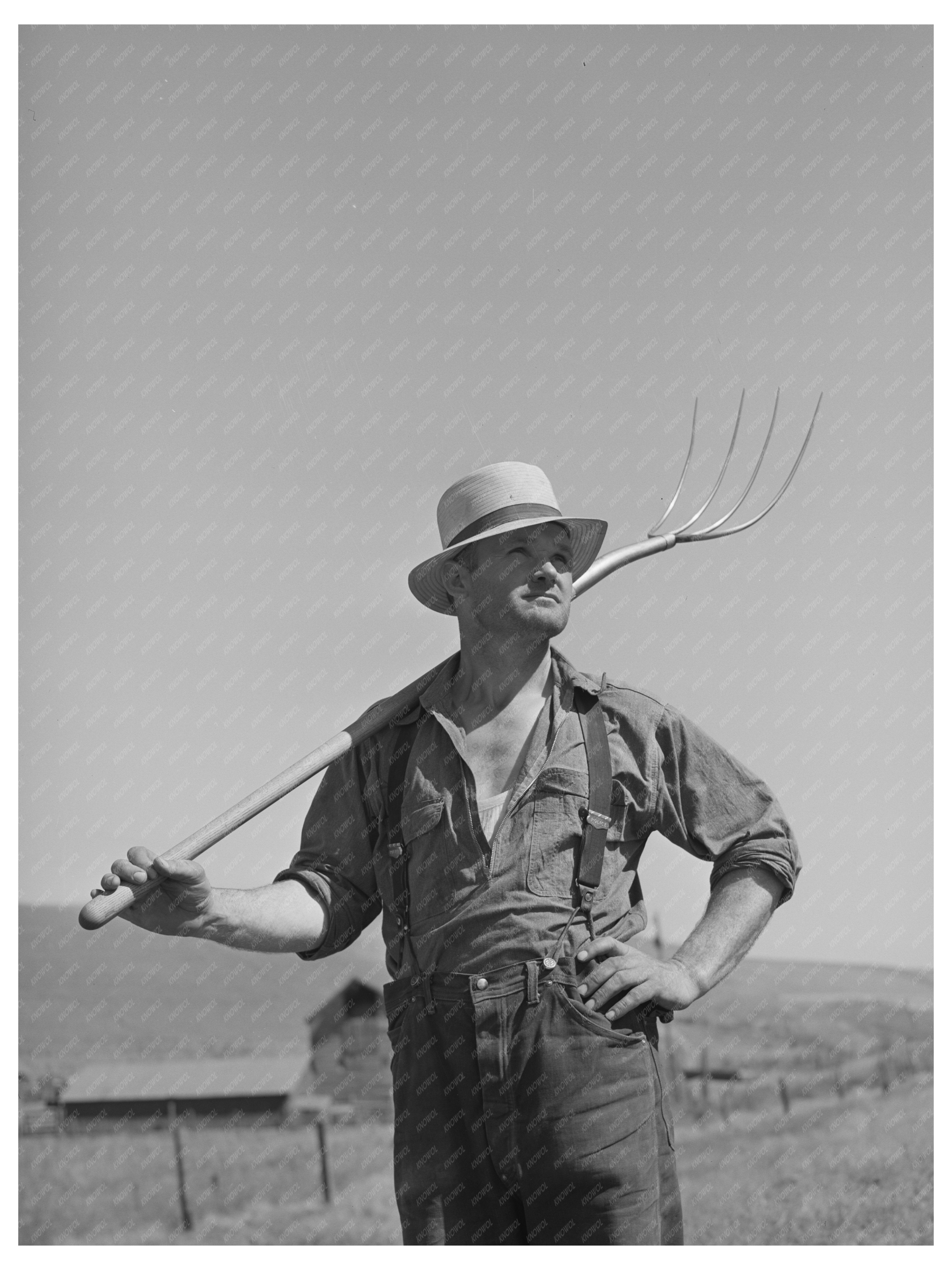 Wheat Farmer Using Horses in Whitman County 1941