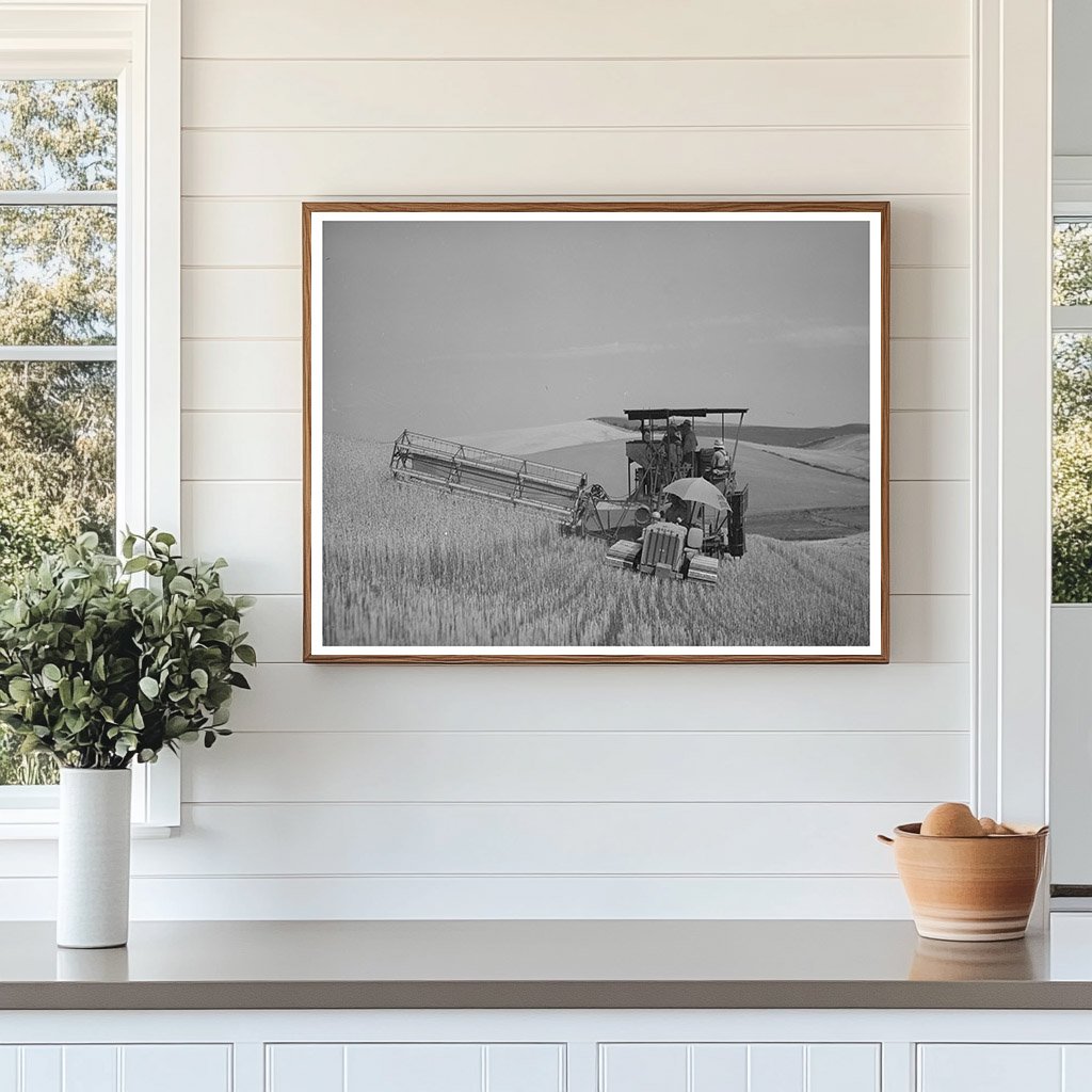 Caterpillar Combine Harvesting Wheat in Whitman County 1941