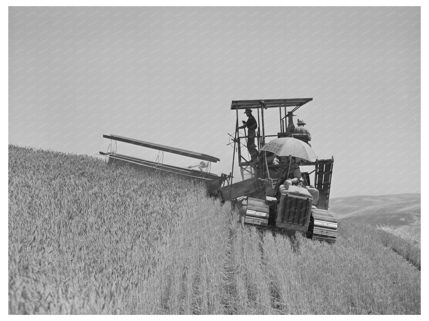 1941 Tractor-Drawn Combine Harvesting Wheat in Washington