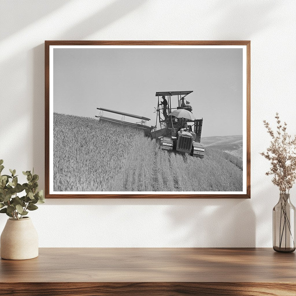 1941 Tractor-Drawn Combine Harvesting Wheat in Washington