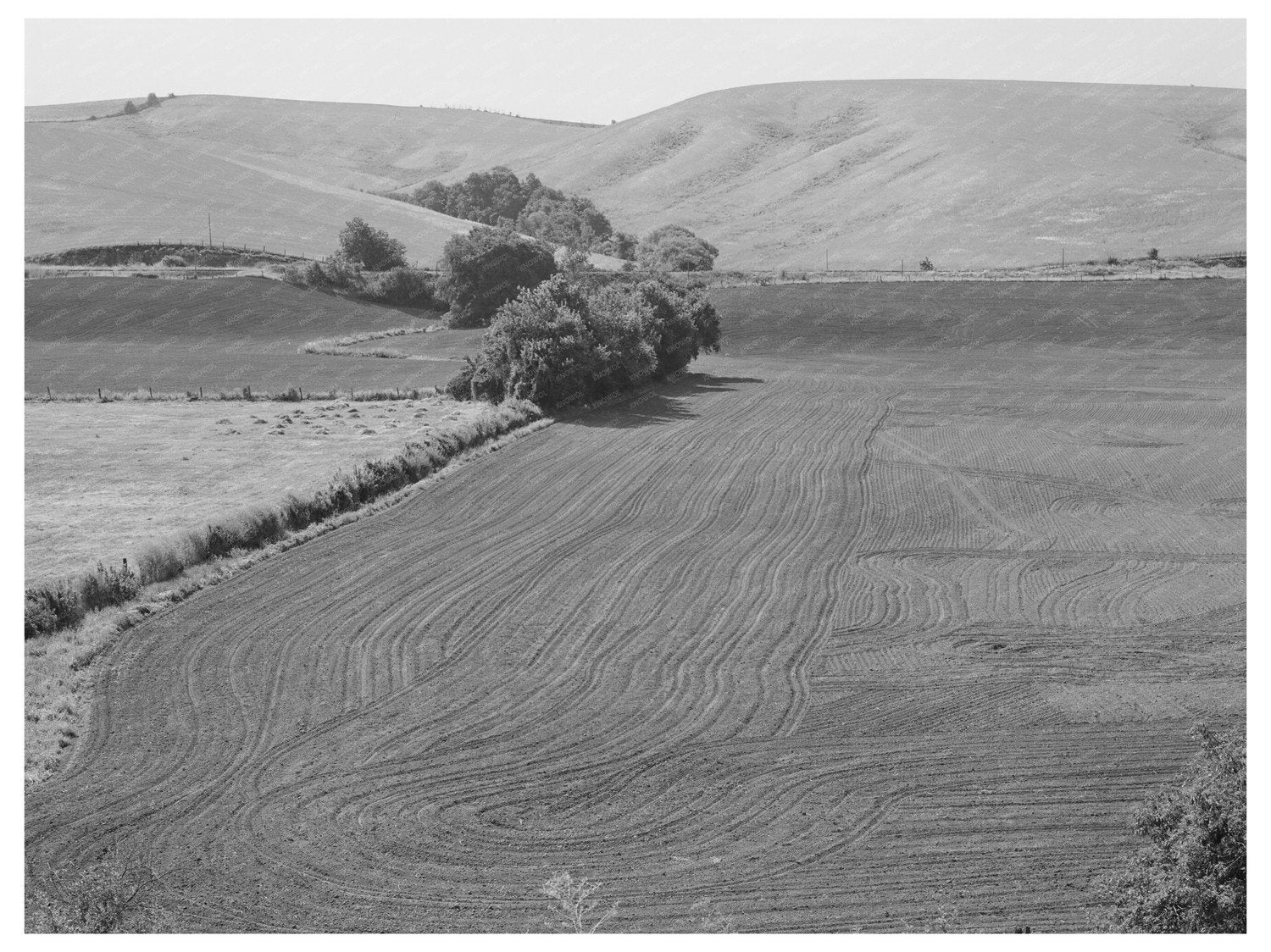 1941 Summer Fallow Land Harrowed in Whitman County WA