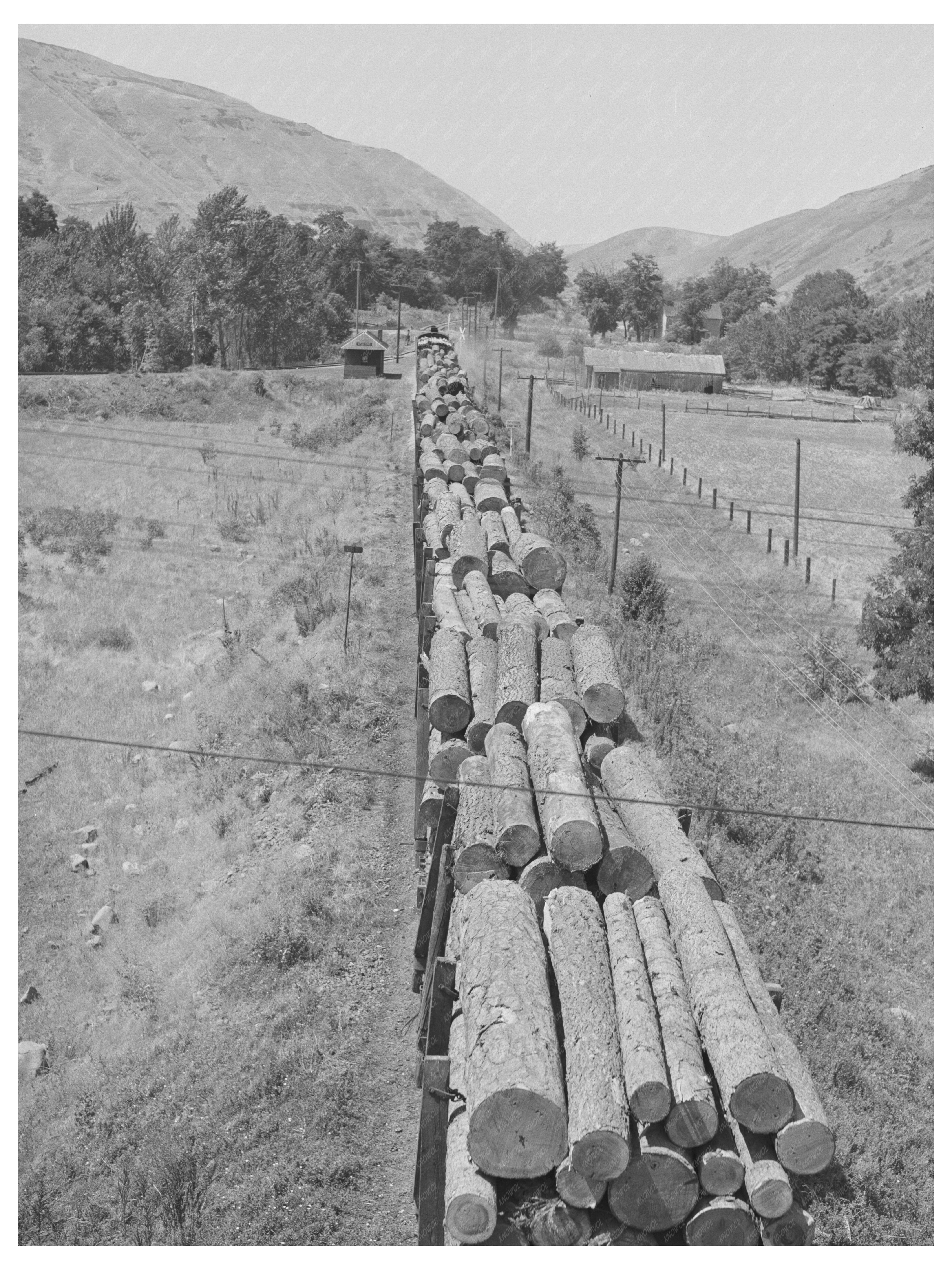 Logging Train at Spalding Junction Idaho July 1941