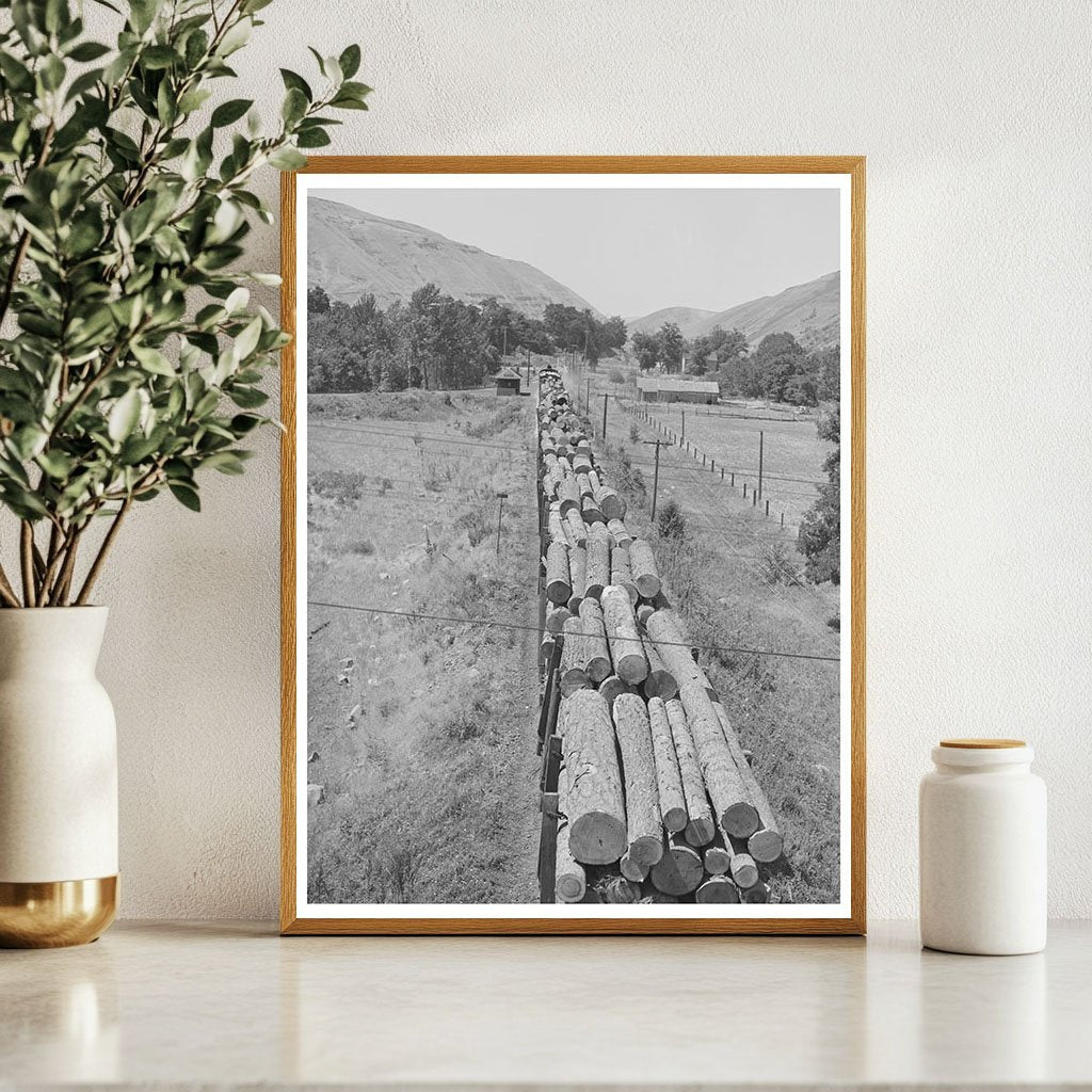 Logging Train at Spalding Junction Idaho July 1941