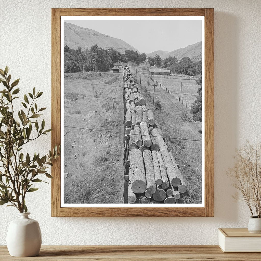 Logging Train at Spalding Junction Idaho July 1941