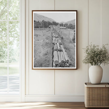 Logging Train at Spalding Junction Idaho July 1941