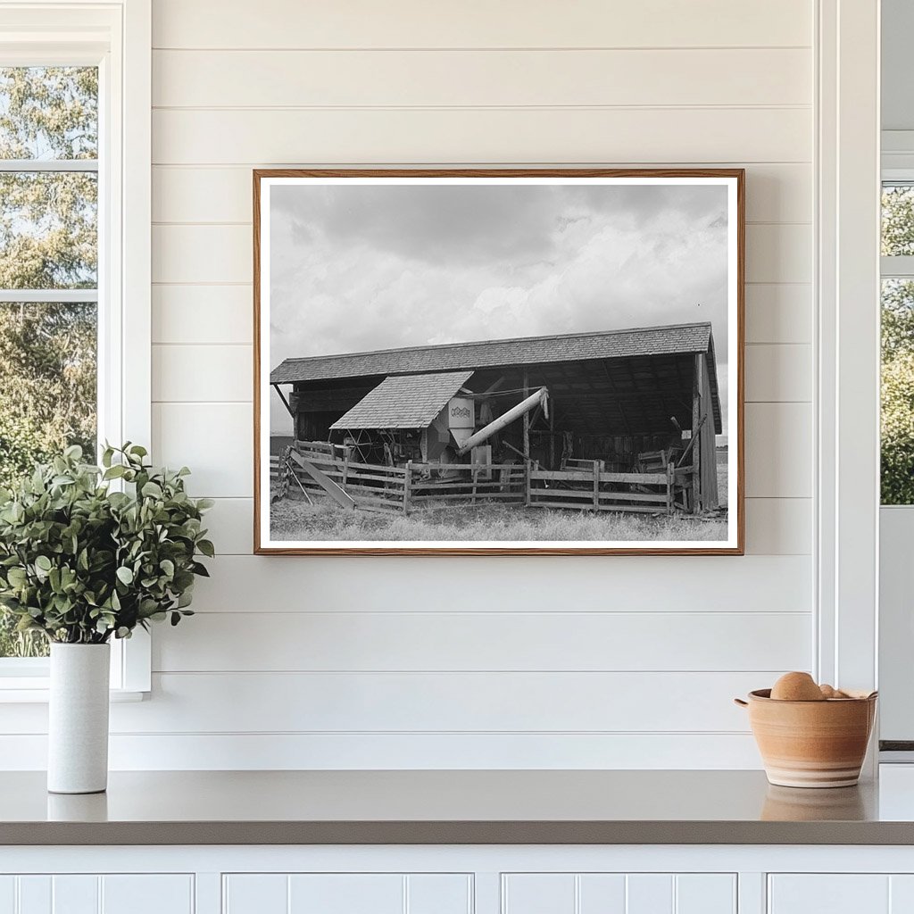 1941 Wheat Combine Storage Idaho County Agriculture Image