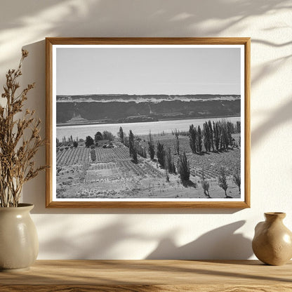 Farm Along Columbia River Klickitat County Washington 1941