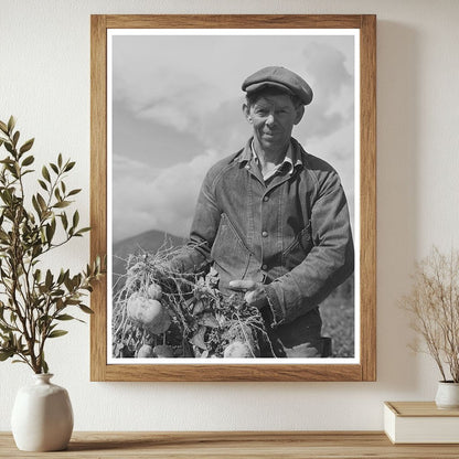 Farm Security Administration Potato Harvest Idaho 1941