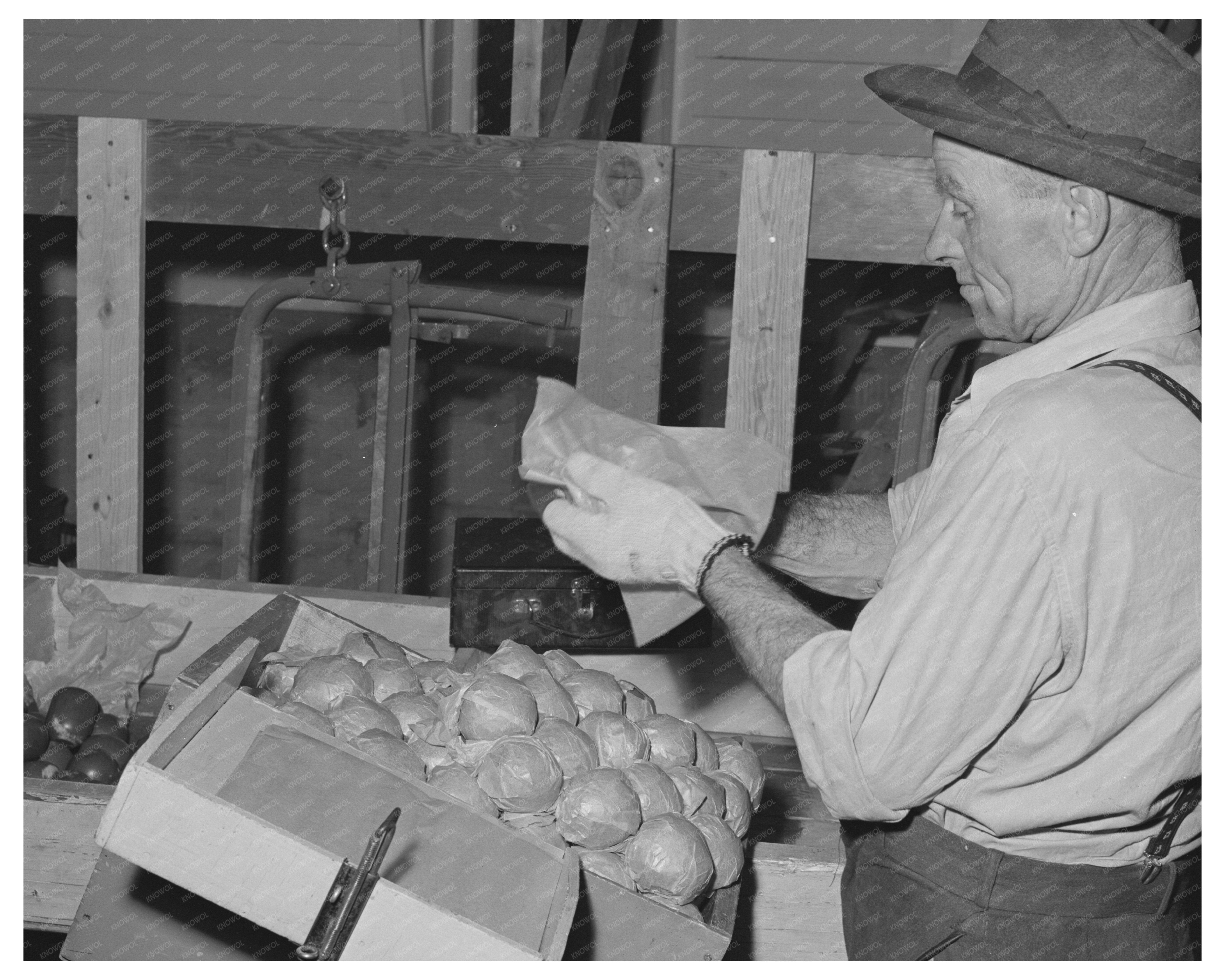 Farm Worker at Yakima Apple Packing School 1941