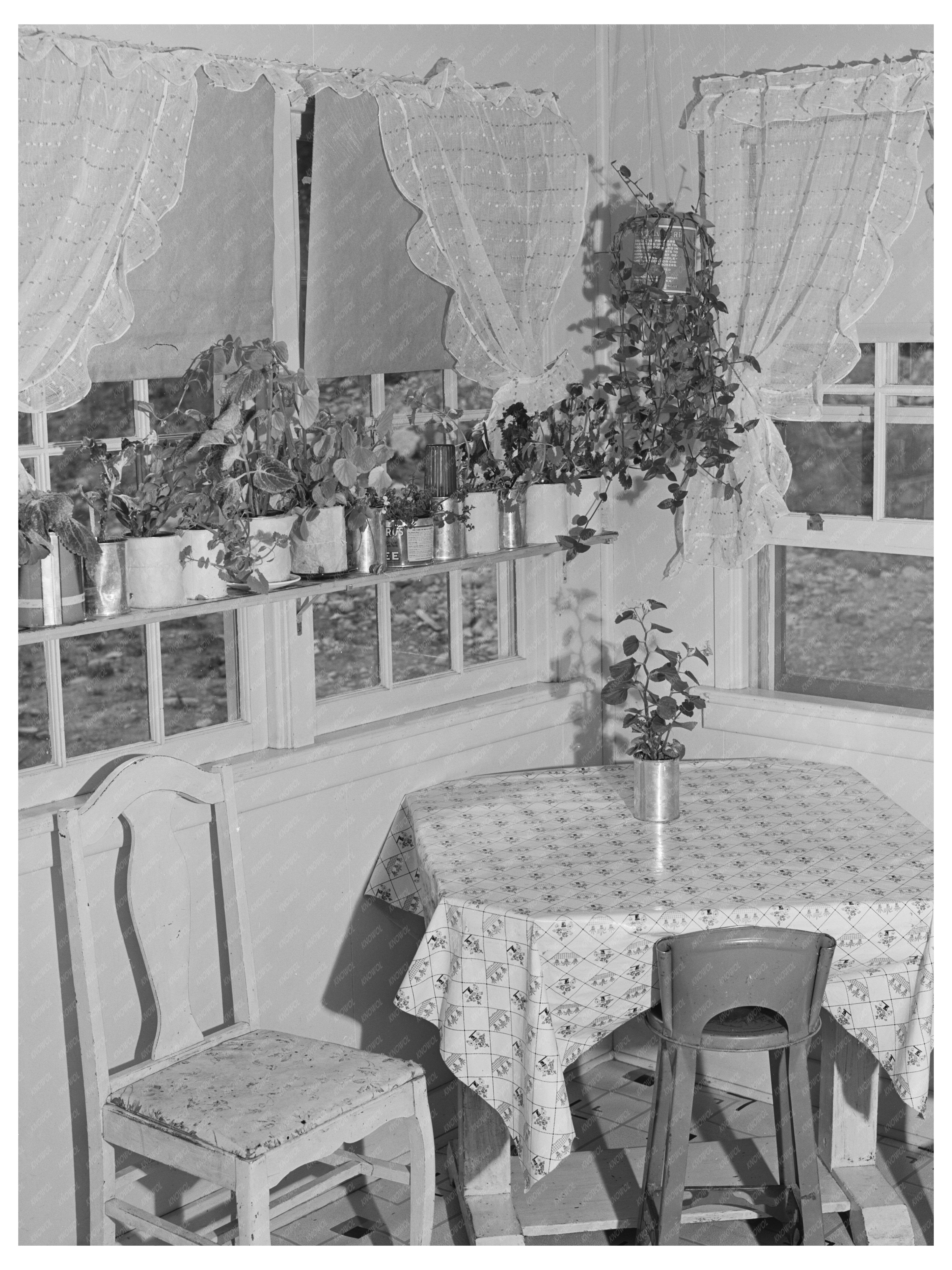 Vintage Kitchen in Boundary County Idaho 1941