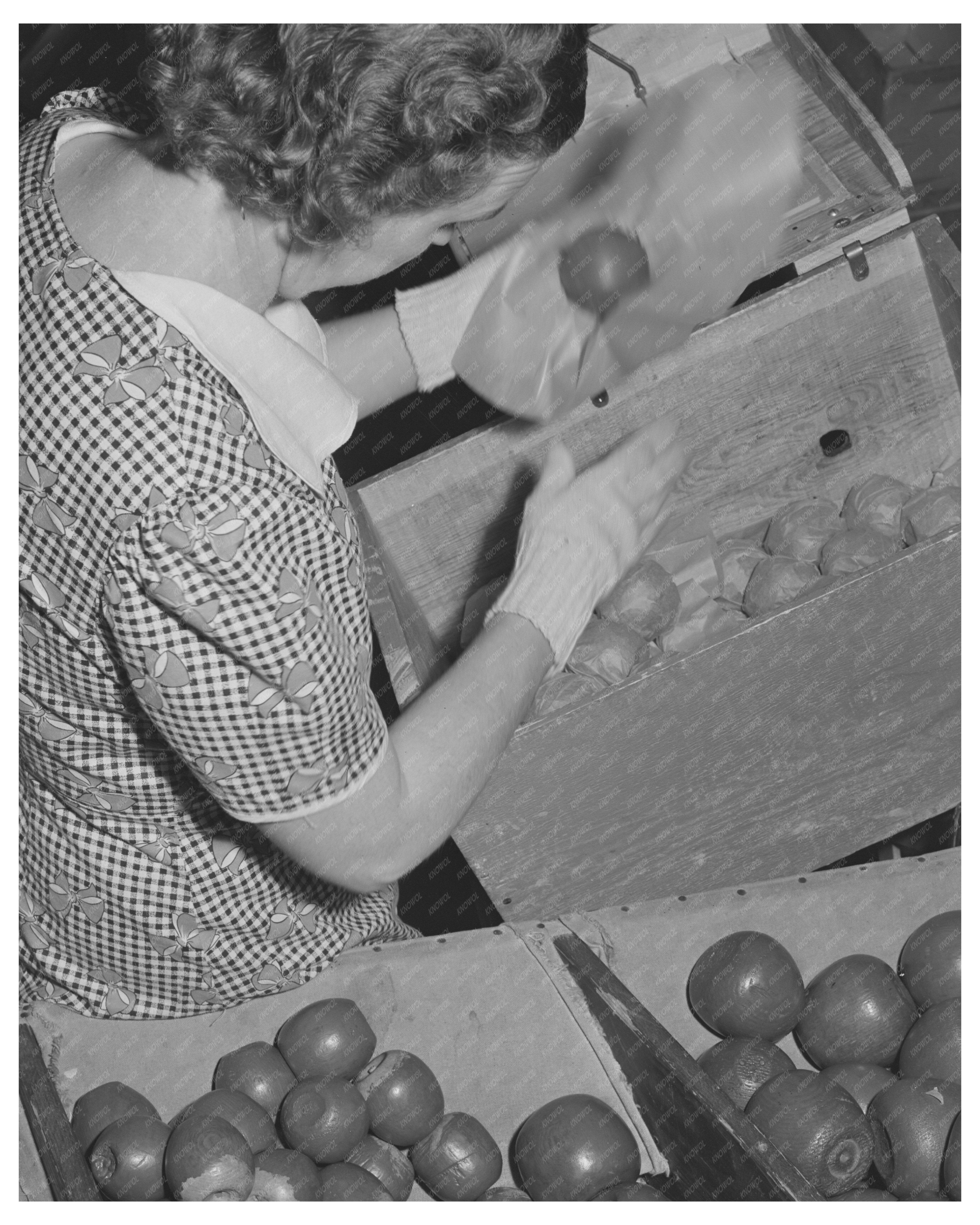 Farm Woman Packing Apples Yakima Washington 1941