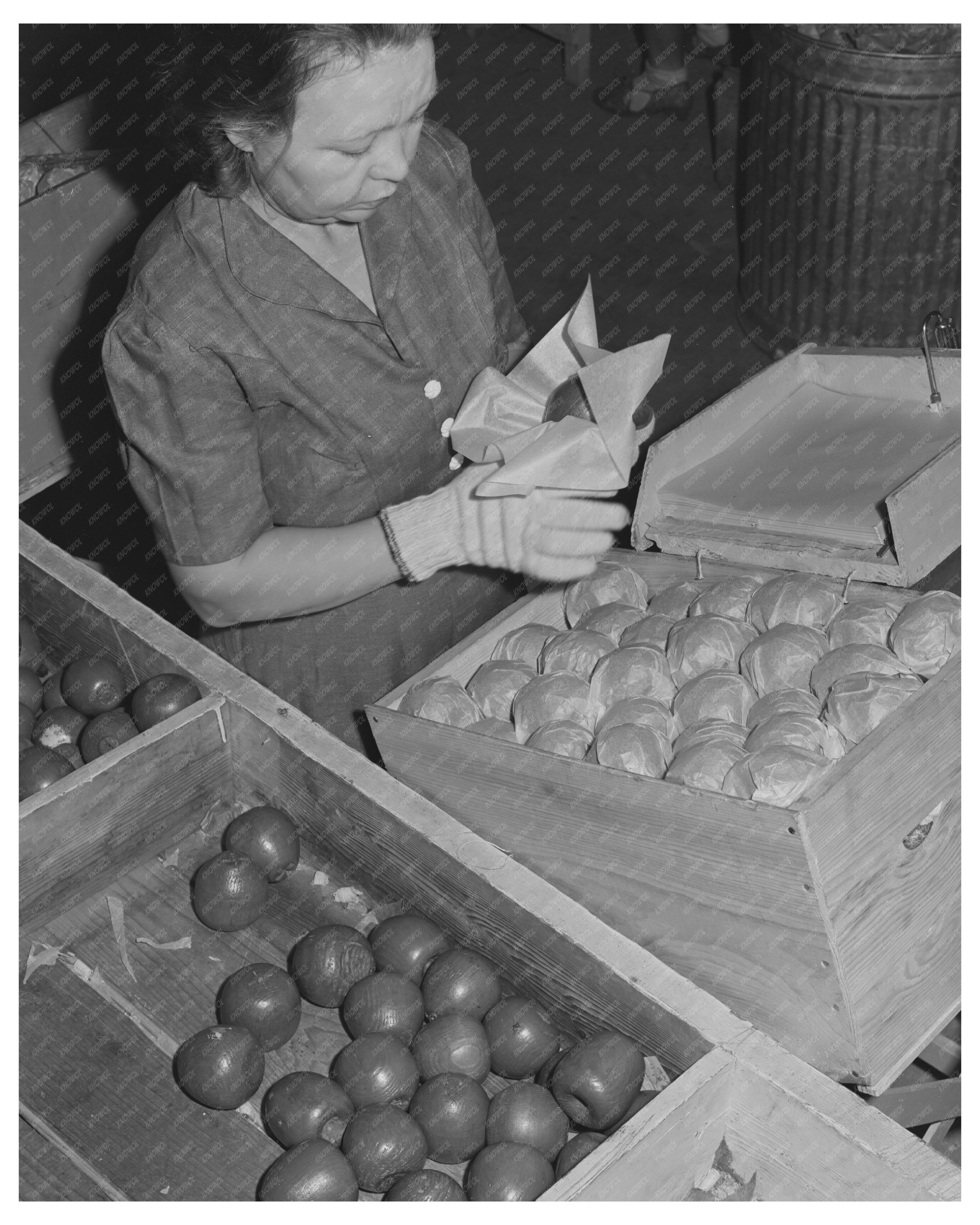 Yakima Apple Packing School Labor Camp 1941