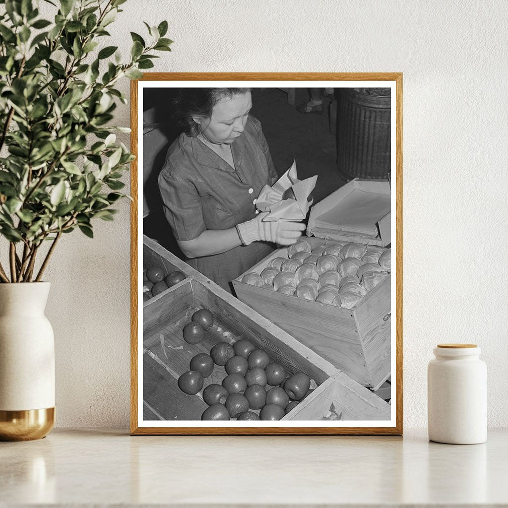 Farm Woman Packing Apples at Yakima Labor Camp 1941