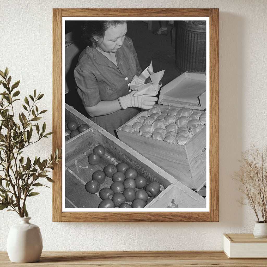 Farm Woman Packing Apples at Yakima Labor Camp 1941