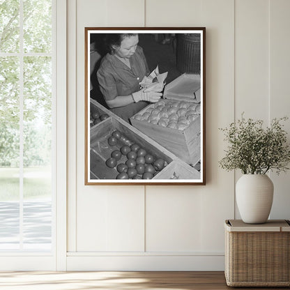 Farm Woman Packing Apples at Yakima Labor Camp 1941