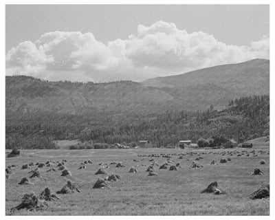 Boundary County Idaho Farming Landscape September 1941