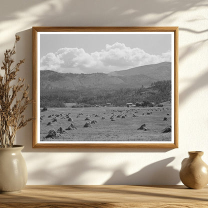 Boundary County Idaho Farming Landscape September 1941