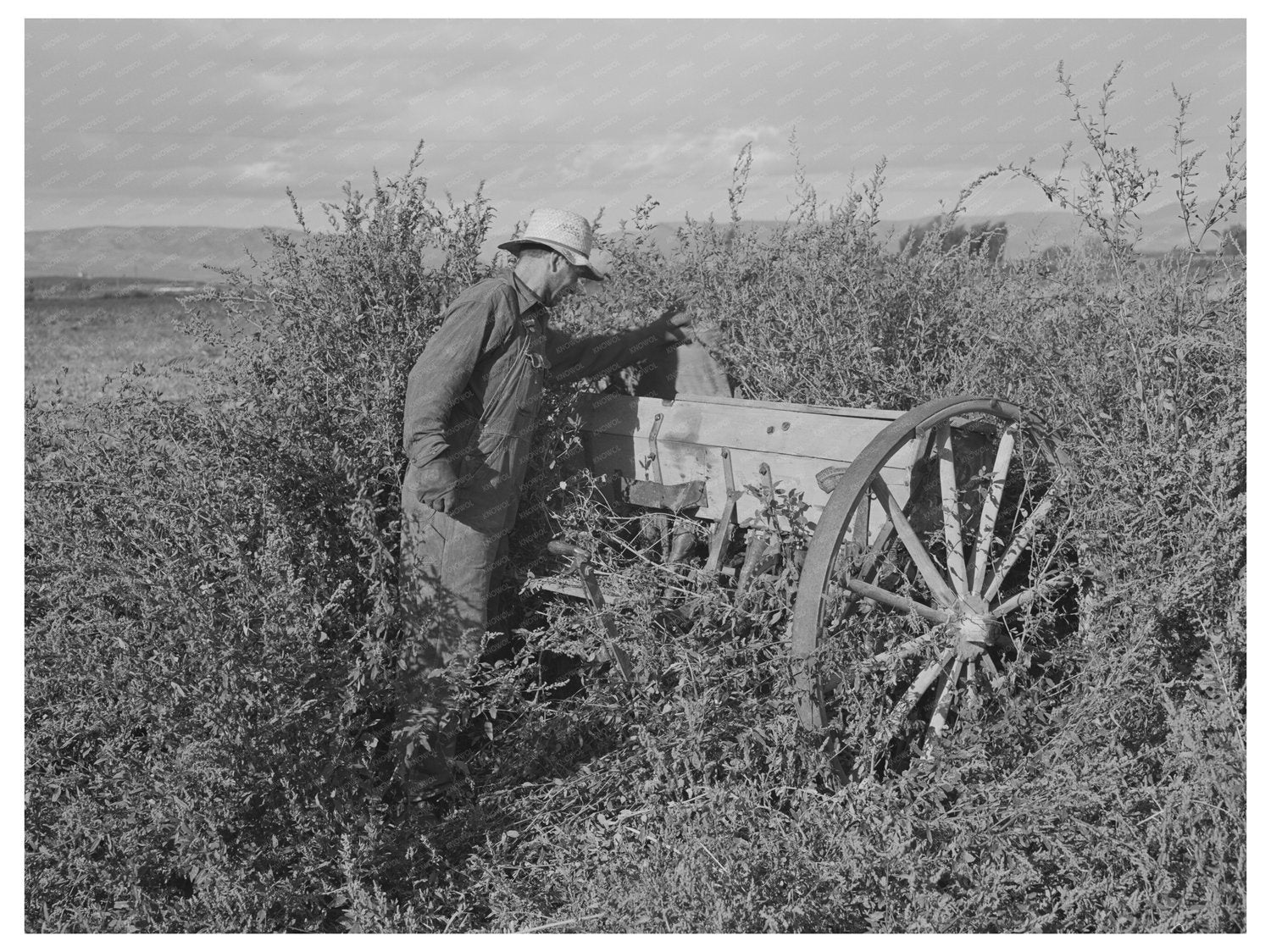 1941 Black-and-White Yakima County Farmer with Machinery