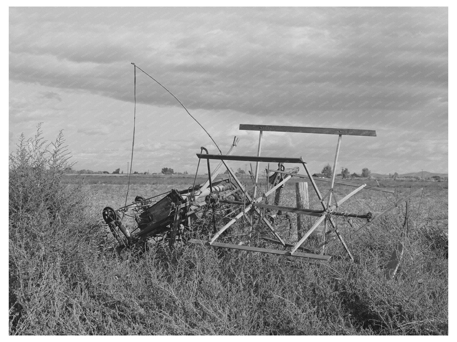 1941 Vintage Photo of Binder on Yakima Farm