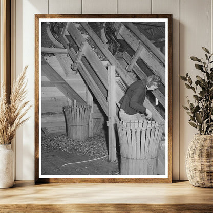 Vintage 1941 Hop Picker in Yakima County Washington