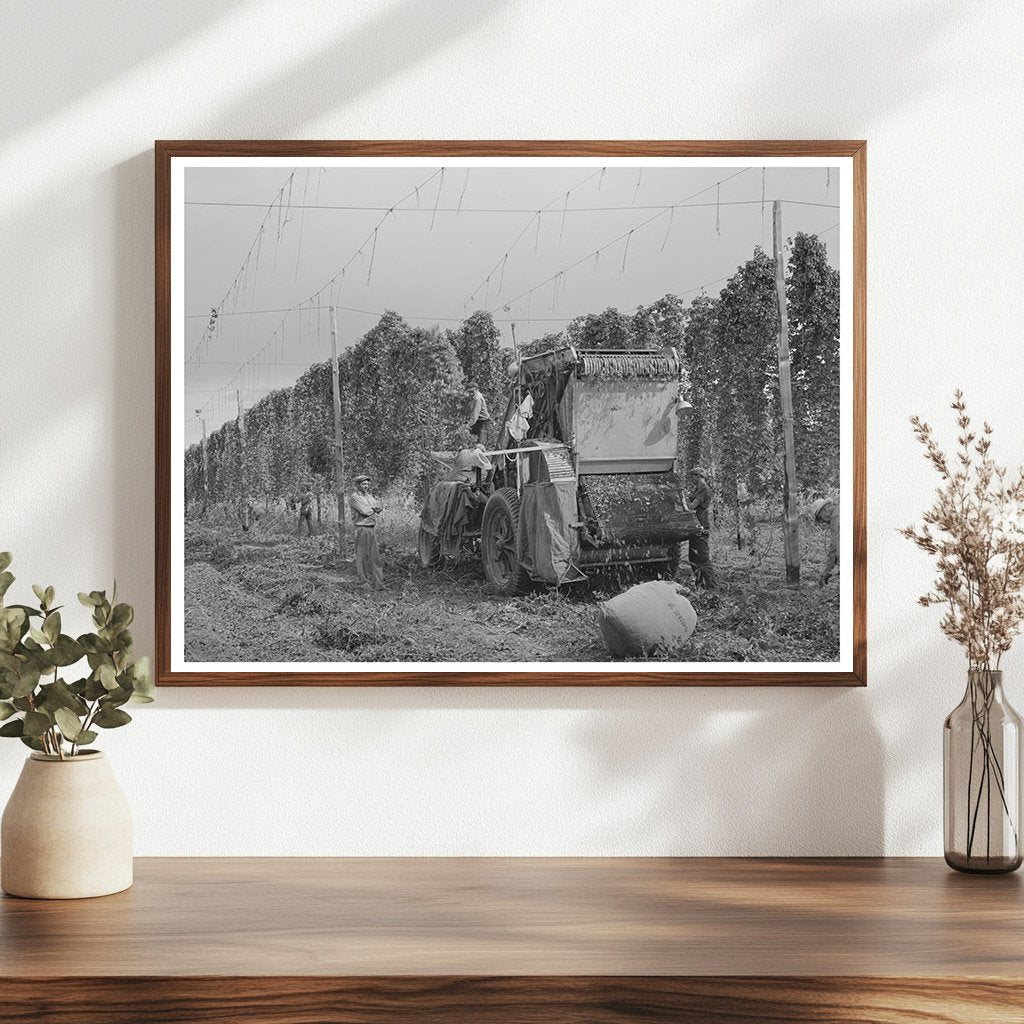 1941 Portable-Type Hop Picker in Yakima County Fields