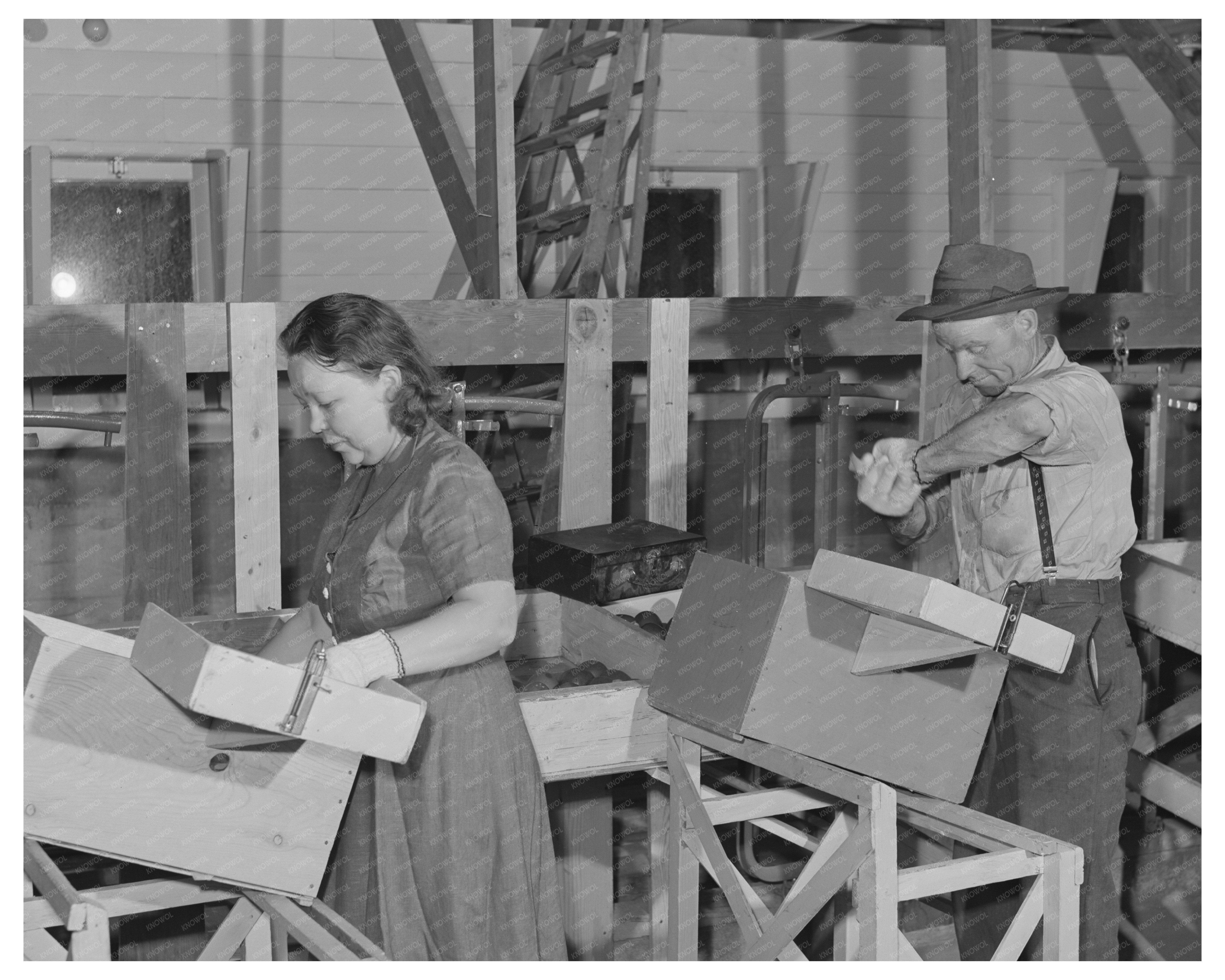 Apple Wrapping Training at Yakima Labor Camp 1941