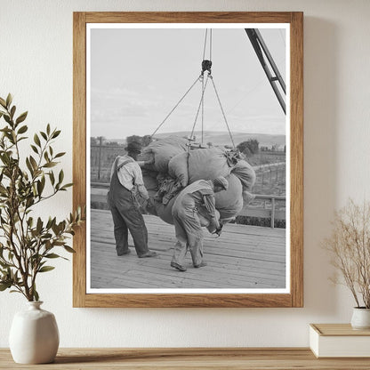 Hops Processing in Yakima Washington September 1941