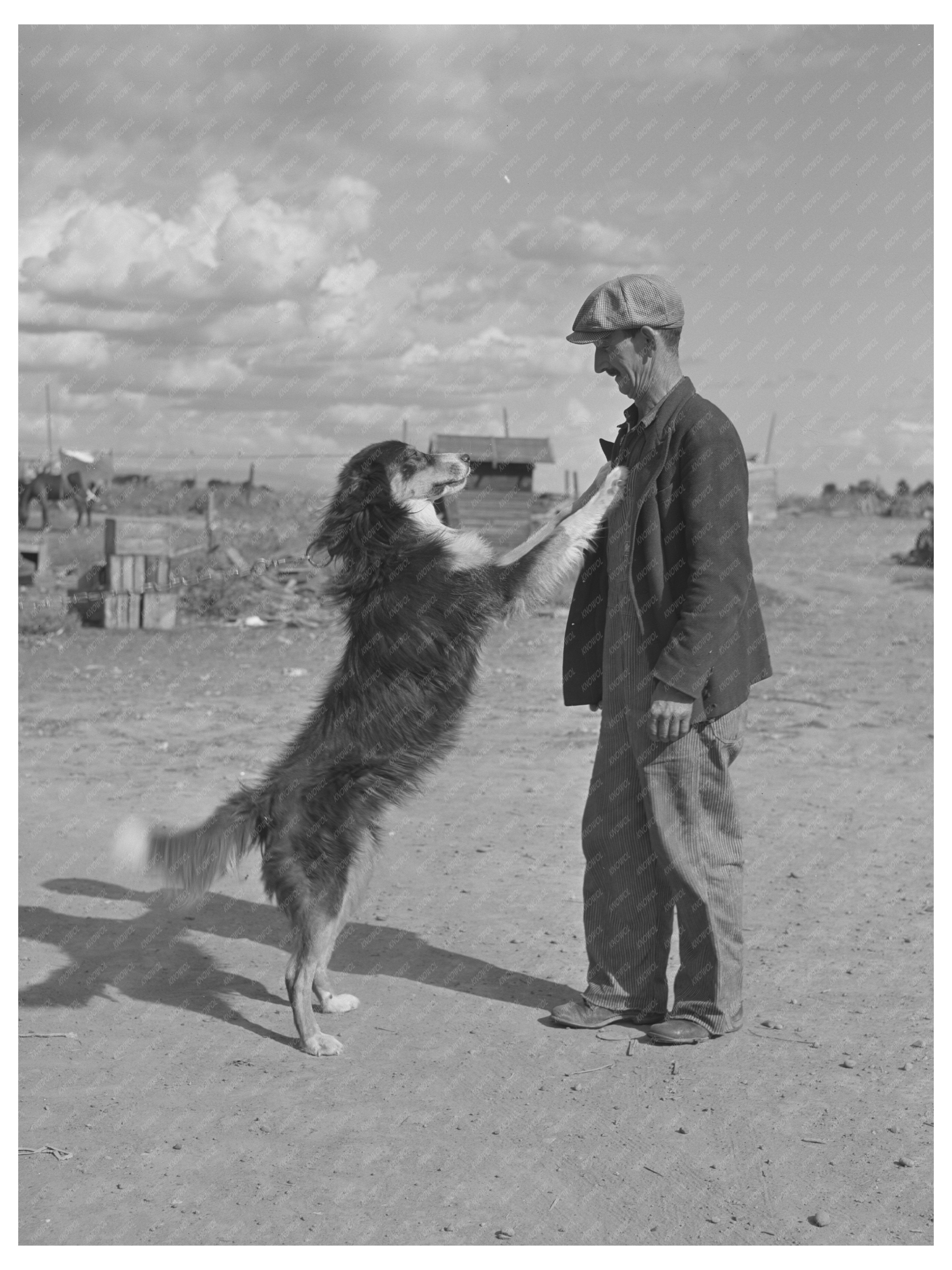 Farmer and Dog in Yakima County Washington 1941