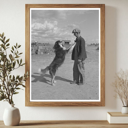 Farmer and Dog in Yakima County Washington 1941