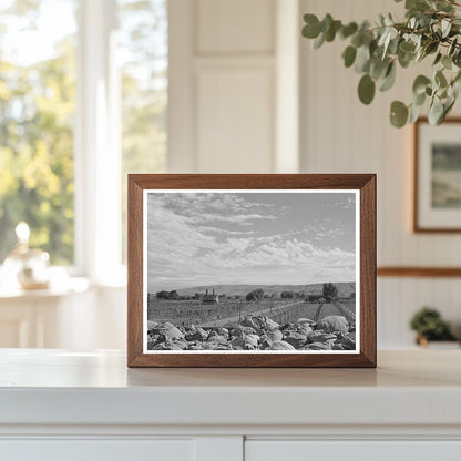 1941 Yakima County Hop Kiln and Fields Photograph