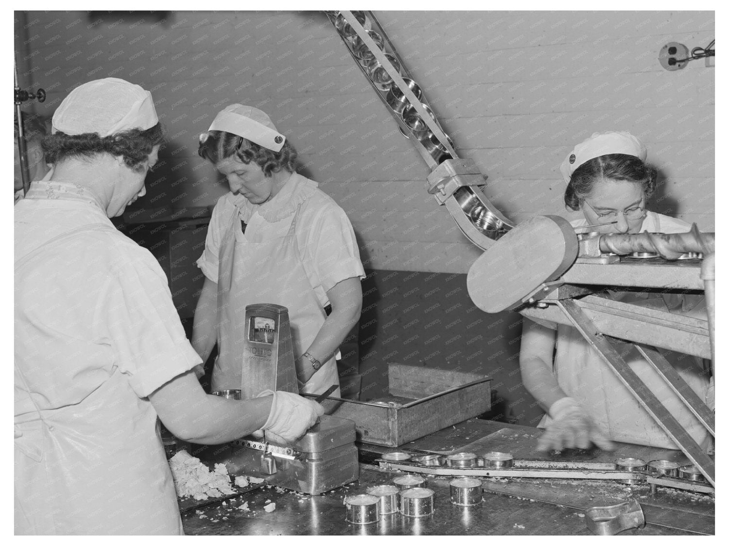 1941 Tuna Fish Canning Workers Columbia River Packing Oregon