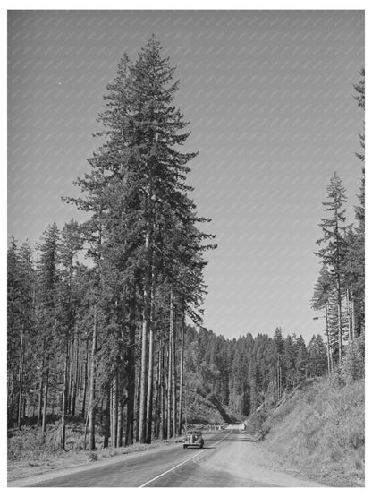 Clatsop County Oregon September 1941 Vintage Image