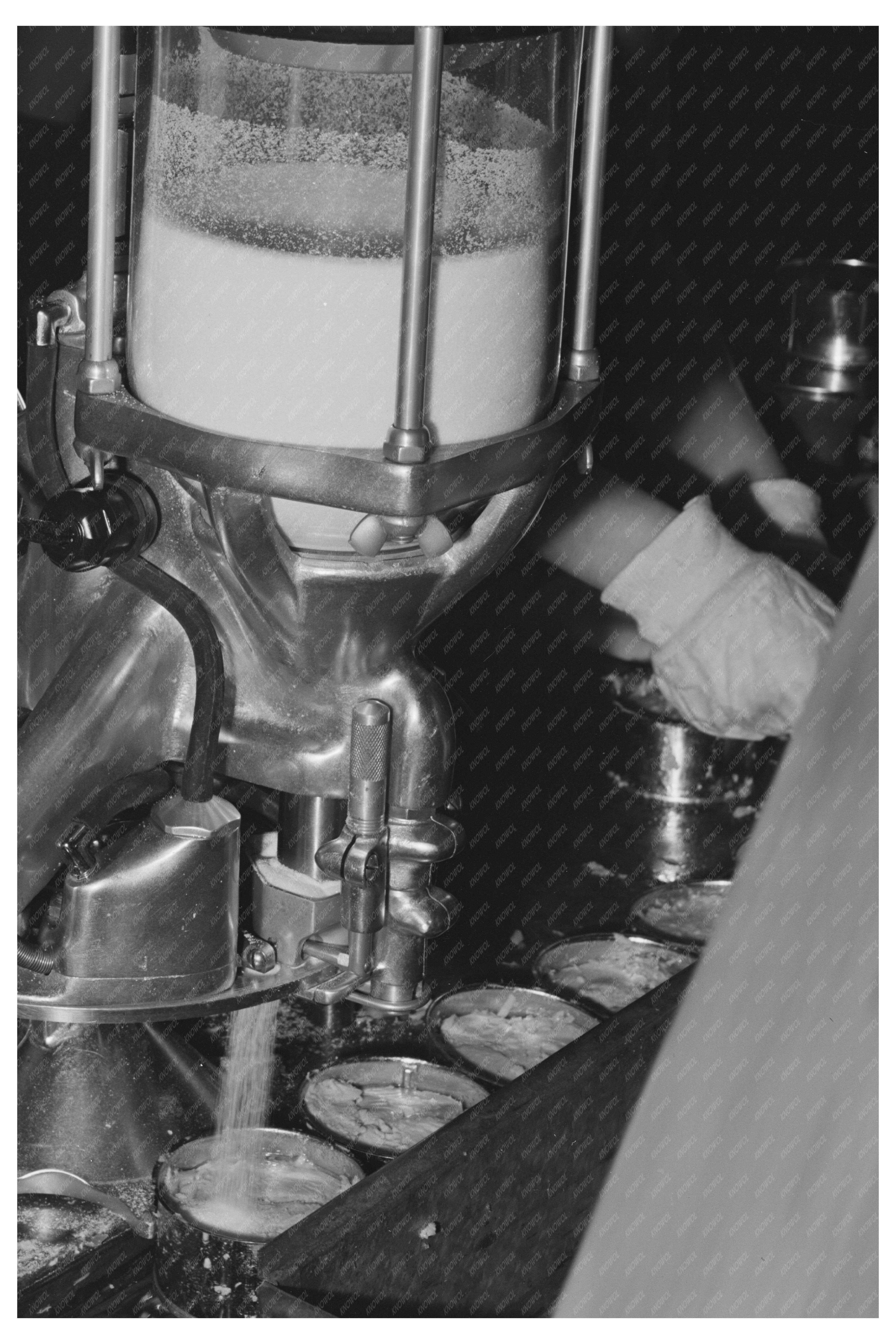 Workers Adding Salt to Cans of Tuna in Astoria 1941