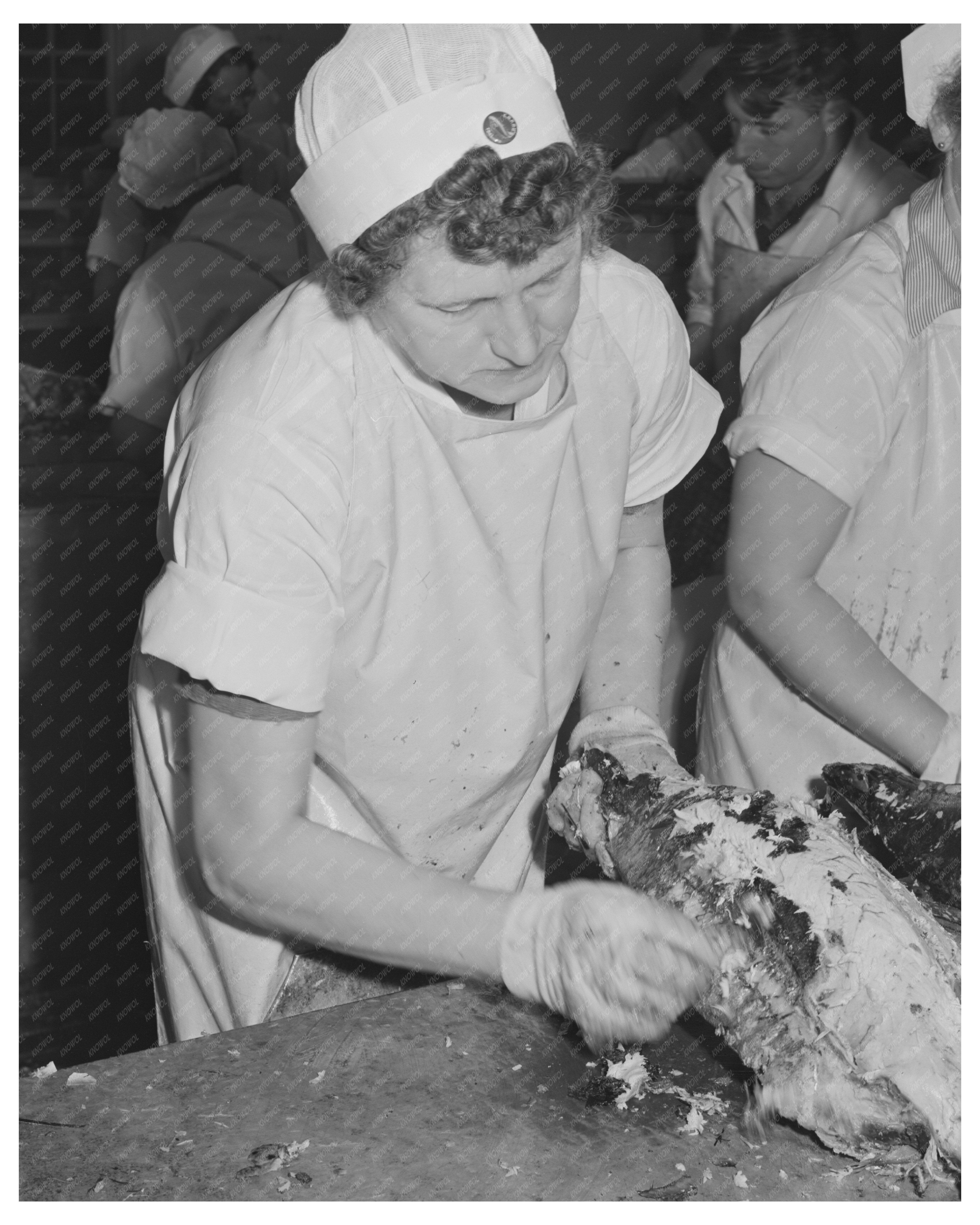 Skinning Cooked Tuna Columbia River Packing Association 1941