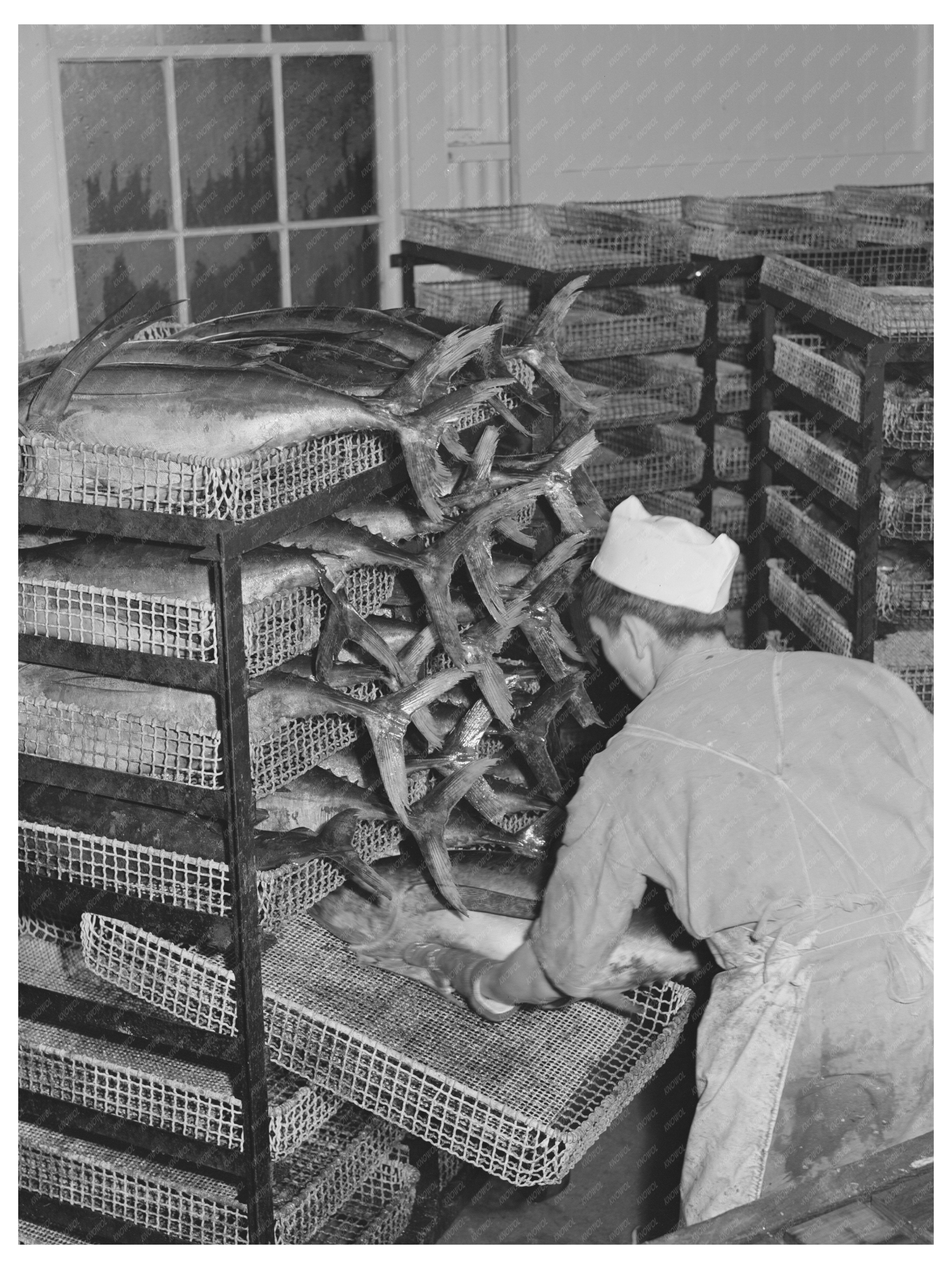 Columbia River Tuna Processing Workers Astoria Oregon 1941