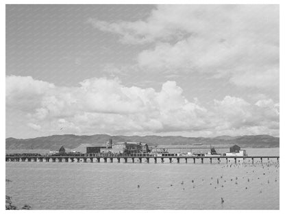 1941 Astoria Oregon Columbia River Packing Association View