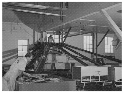 1941 Grader Evaluating Salmon at Columbia River Packing