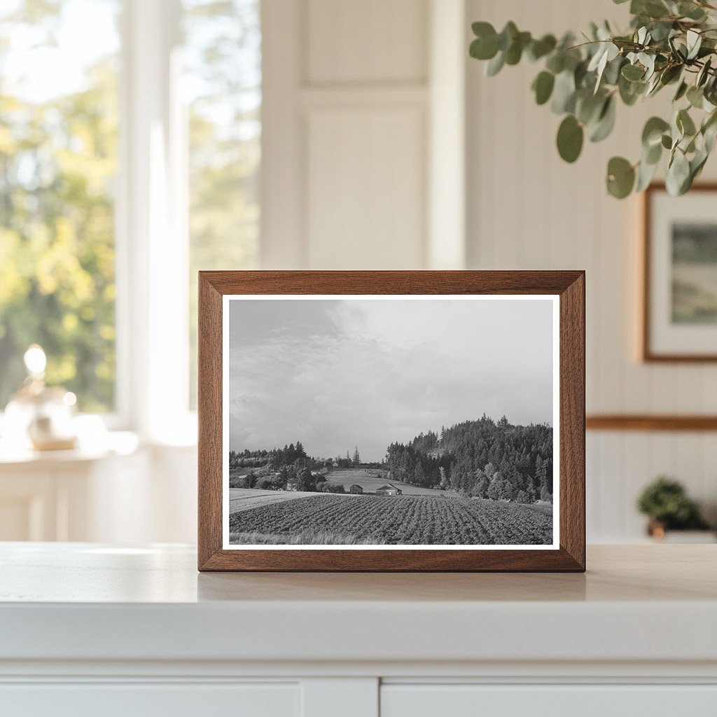 Fall Gardens and Orchards Willamette Valley Oregon 1941