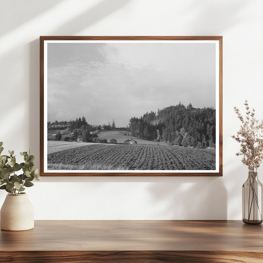 Fall Gardens and Orchards Willamette Valley Oregon 1941