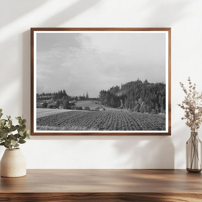 Fall Gardens and Orchards Willamette Valley Oregon 1941